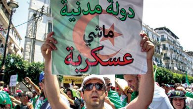 متظاهر يحمل شعار دولة مدنية